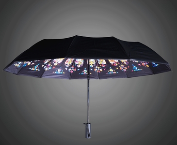 Image - Parapluie_moyen_2.jpg