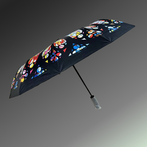 Image - Parapluie_Petit_1.jpg