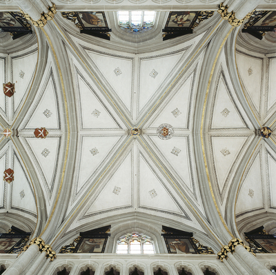Image - 04.jpg